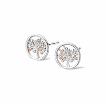 Load image into Gallery viewer, Tree of Life® Stud Earrings, Sterling Silver & Welsh Gold