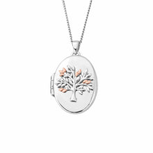 Load image into Gallery viewer, Tree of Life® Locket, Sterling Silver & Welsh Gold