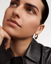 Load image into Gallery viewer, Riba Hoops, Goldplate