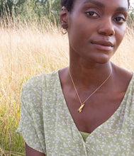 Load image into Gallery viewer, Rocket Locket, Goldplate