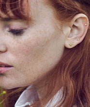 Load image into Gallery viewer, Itsy Bitsy Bee Studs, 18ct Yellow Gold