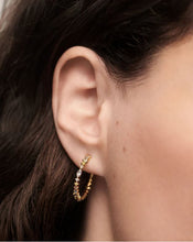 Load image into Gallery viewer, Lotus Hoops, Goldplate