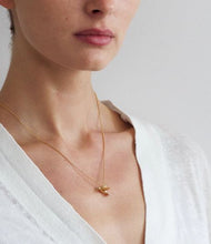 Load image into Gallery viewer, Hummingbird necklace, Goldplate