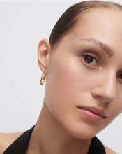 Load image into Gallery viewer, Texas Hoops, Goldplate