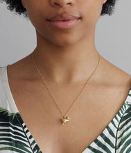 Load image into Gallery viewer, Dodo Necklace, Sterling Silver