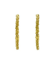 Load image into Gallery viewer, Pine Twig Hoop Earrings, Goldplate