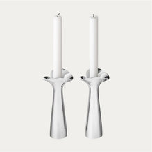 Load image into Gallery viewer, Bloom Botanica Candleholders, 2pcs