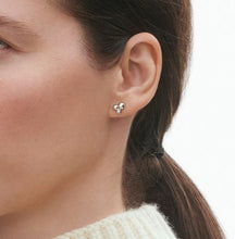 Load image into Gallery viewer, Moonlight Grapes Stud Earrings, Silver & 0.07ct Diamond