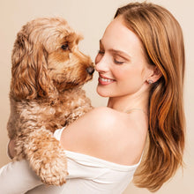 Load image into Gallery viewer, Paw Prints Heart Stud Earrings with Topaz, Sterling Silver & Welsh Gold