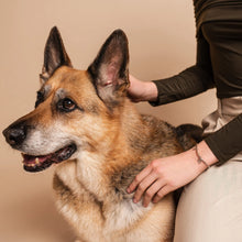 Load image into Gallery viewer, Paw Prints Heart Bracelet with Topaz, Sterling Silver & Welsh Gold
