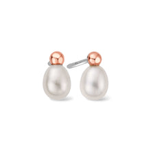 Load image into Gallery viewer, Beachcomber Stud Earrings with Pearls, Sterling Silver &amp; Welsh Gold
