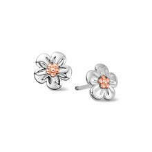 Load image into Gallery viewer, Nature&#39;s Wonder Forget-Me-Not Stud Earrings, Sterling Silver &amp; Welsh Gold
