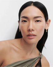 Load image into Gallery viewer, Helix Hoops, Goldplate
