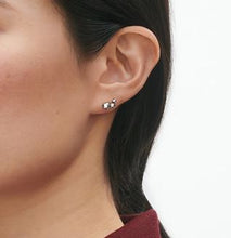 Load image into Gallery viewer, Moonlight Grapes Earstuds, Sterling Silver
