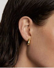 Load image into Gallery viewer, Sugar Earrings, Goldplate

