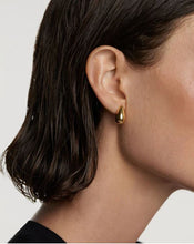 Load image into Gallery viewer, Sugar Earrings, Goldplate
