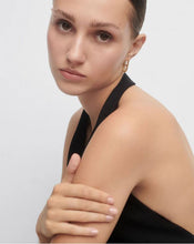 Load image into Gallery viewer, Texas Hoops, Goldplate
