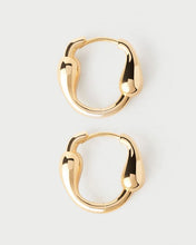 Load image into Gallery viewer, Cycle Hoops, Goldplate
