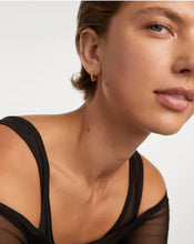 Load image into Gallery viewer, Viva Hoops, Goldplate
