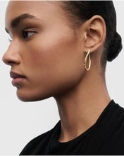 Load image into Gallery viewer, Air Hoops, Goldplate
