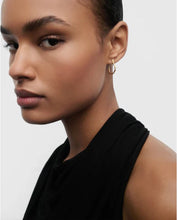 Load image into Gallery viewer, Mini Air Hoops, Goldplate
