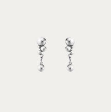 Load image into Gallery viewer, Moonlight Grapes Drop Earrings, Small
