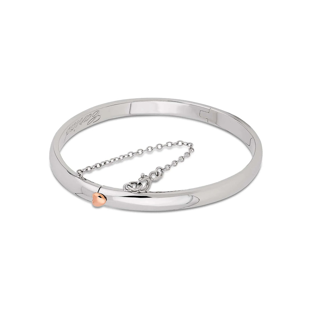 Cariad® Bangle, Sterling Silver & Welsh Gol