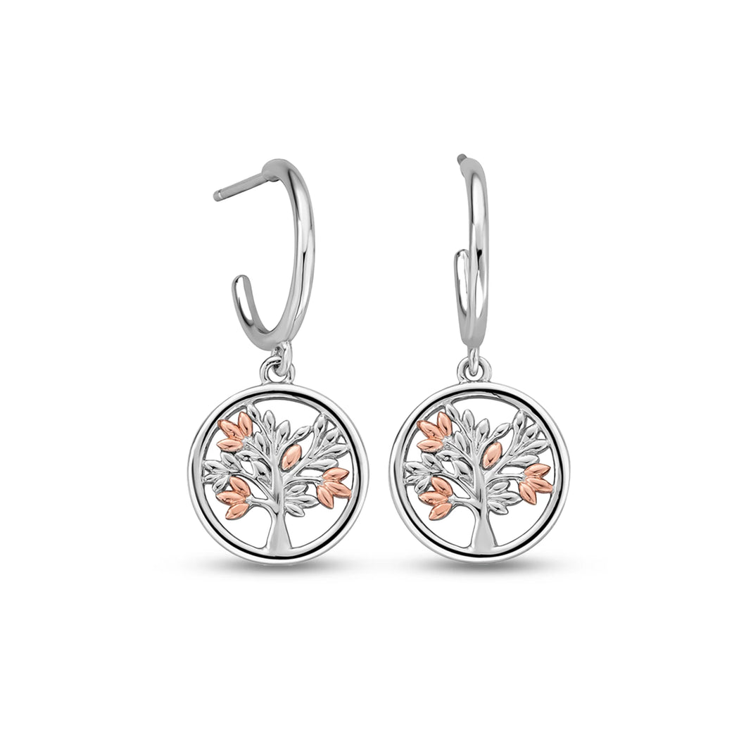 Tree of Life® Drop Earrings, Sterling Silver & Welsh Gold