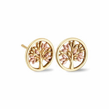 Load image into Gallery viewer, Tree of Life® Stud Earrings, 9ct Yellow Gold &amp; Welsh Gold
